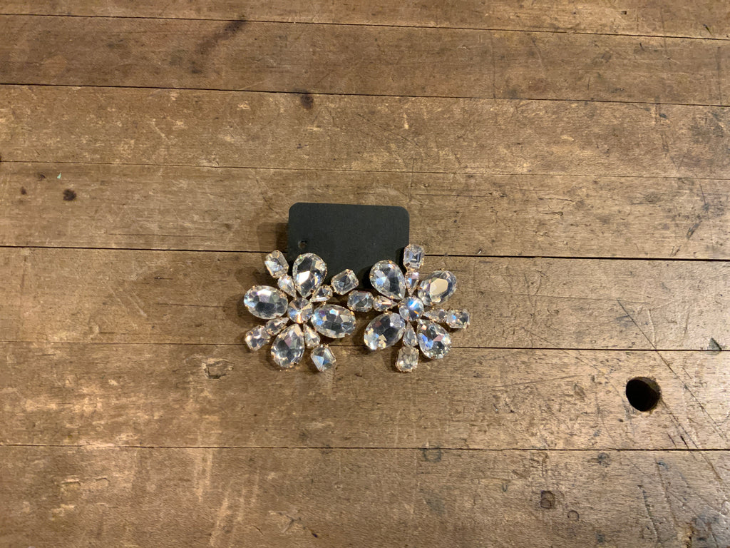 Holiday Bling & Big Earrings @ $35