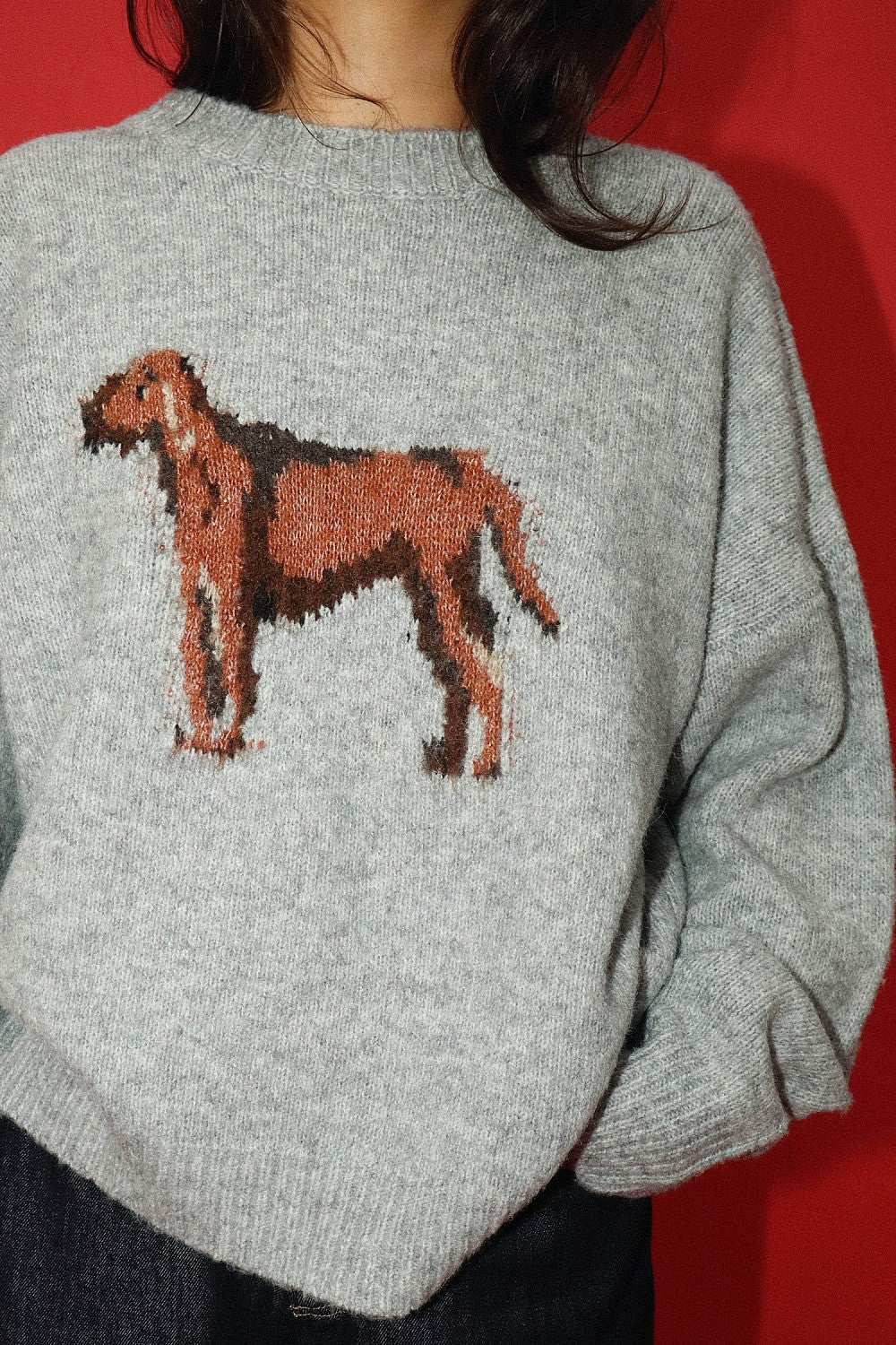 Bailey Rose Hound Pattern Sweater
