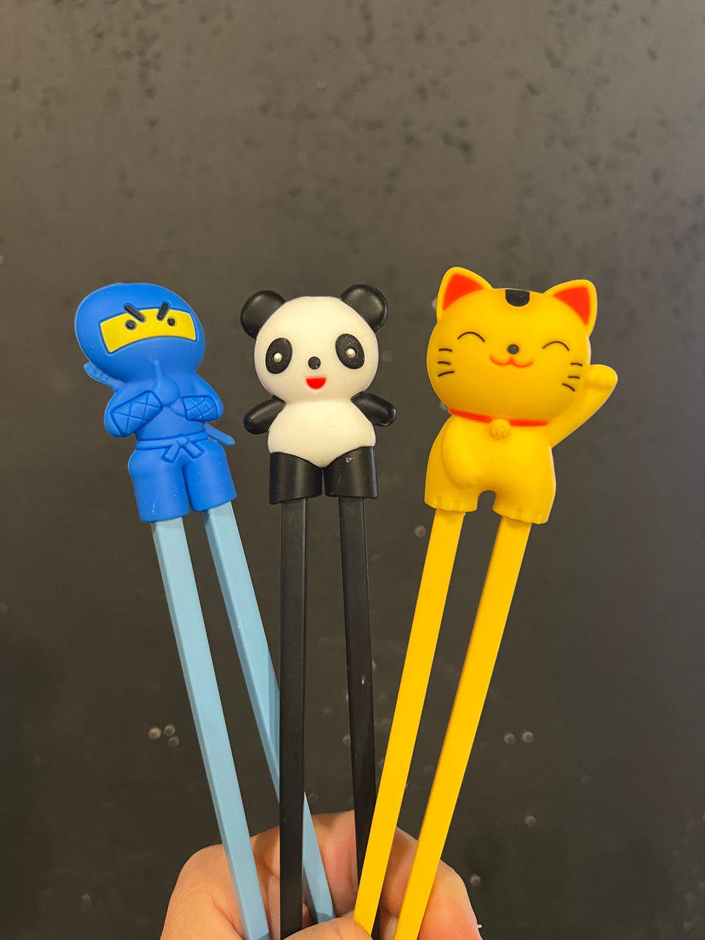 Chinese Training Chopsticks