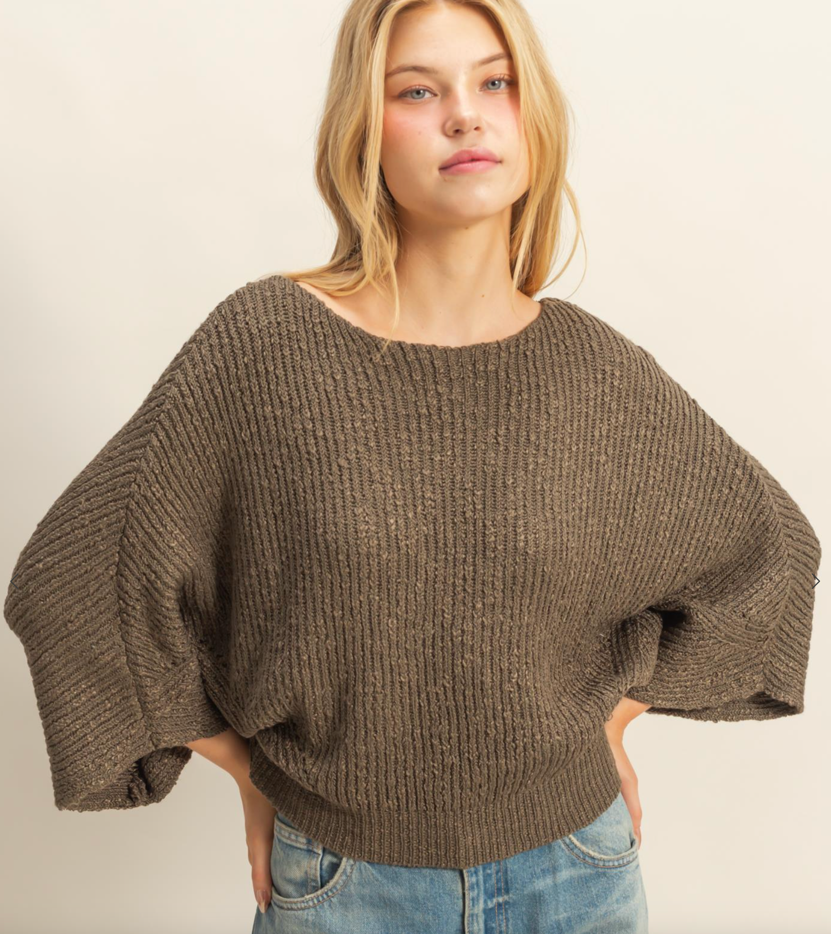 Balloon Sleeve Knit Sweater